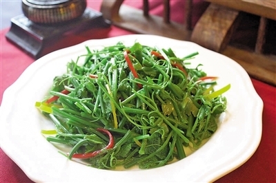 这才是真正的纯天然无公害蔬菜,一起来种菜纯天然绿色蔬菜