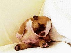 2020南京中产阶级标准,南京中产家庭的标准