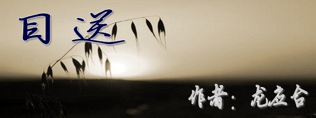 龙应台的书哪本最值得看,龙应台写了多少书