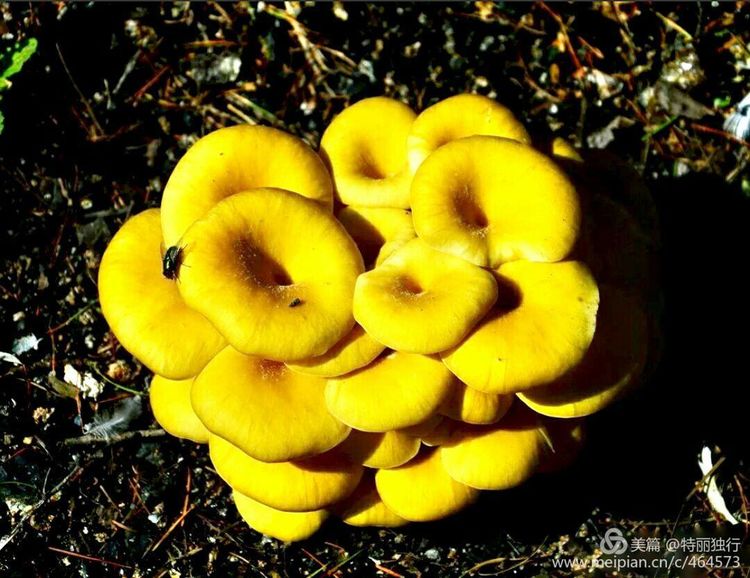 走过四季夏天最美,走过春夏美丽的秋冬