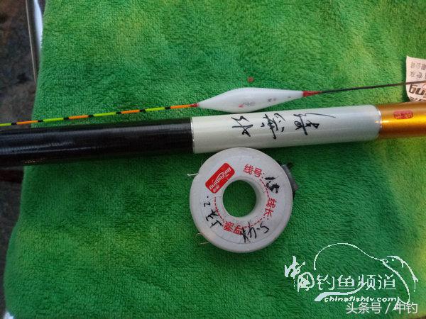 野钓日记第17期,野钓日记19天