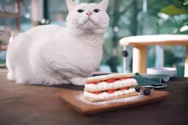 日食记里面的姜老刀的长相,日食记的姜老刀和女朋友照片