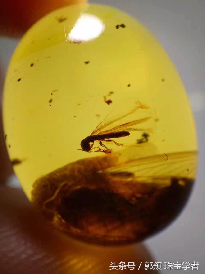 时光终究抵挡不了岁月的脚步,亿万年的光阴