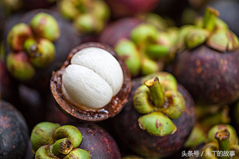 山竹水果皇后图片,热带水果皇后山竹视频