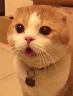 国足出线歇后语,国足出局搞笑视频