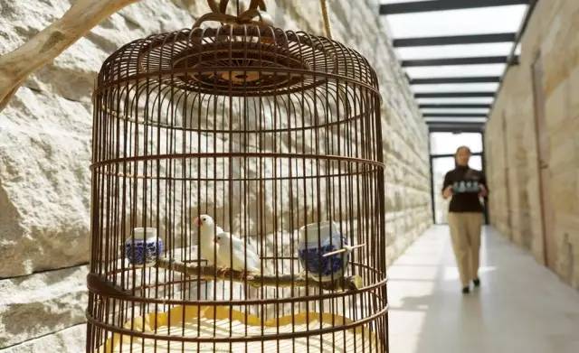 看海何必东奔西跑,看海何必去巴厘岛