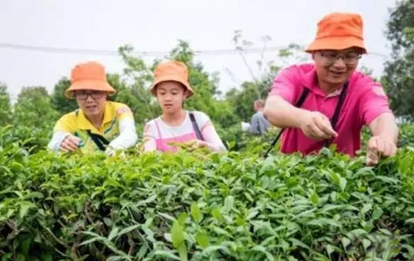 广西合浦白沙文化旅游,北海合浦五一旅游攻略