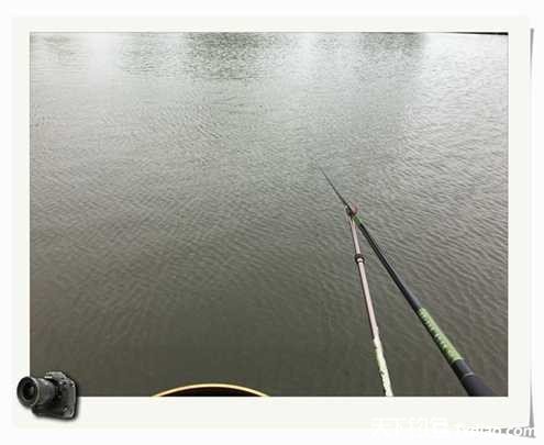 老地方钓鱼不好钓,五一抓鱼捕虾好去处