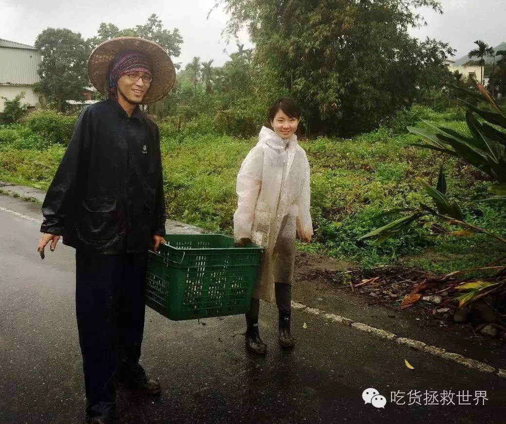 鎴戝湪妯辫姳灏忛晣,鍦ㄦū鑺遍鑸炵殑瀛ｈ妭