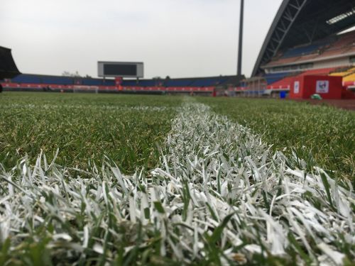 熊猫杯最新消息,熊猫杯现在的状况