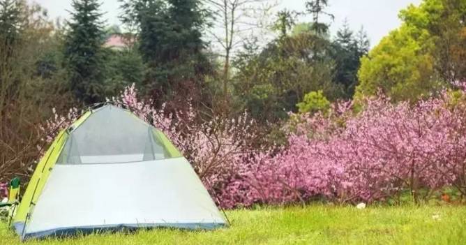 重庆私藏好吃的地方,重庆荣昌附近哪里有好玩的农家乐