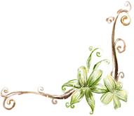 母亲节特辑检察官,女检察官母亲节特辑