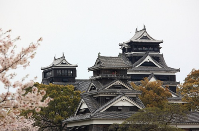 熊本熊熊出没,熊本熊77期