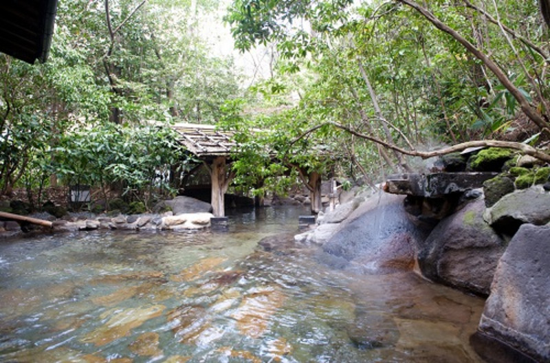 熊本熊77期,熊本熊布朗熊带你去旅行