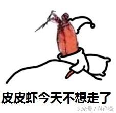 胆小的别进!青岛的海虫子,可以入药可以吃,鲍鱼也在内!