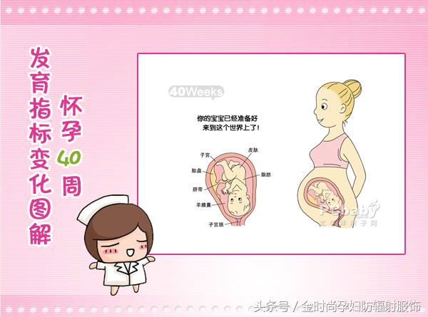 孕妇防辐射服买裤子还是连衣裙好,孕妇防辐射的衣服推荐