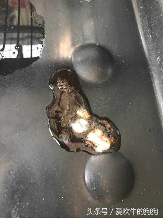 细小治愈过程,治疗细小的过程为什么那么痛苦