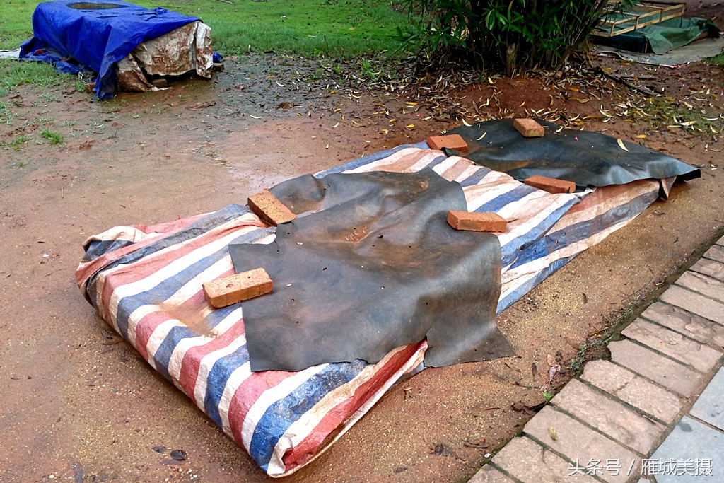 衡阳市平湖公园,衡阳平湖公园