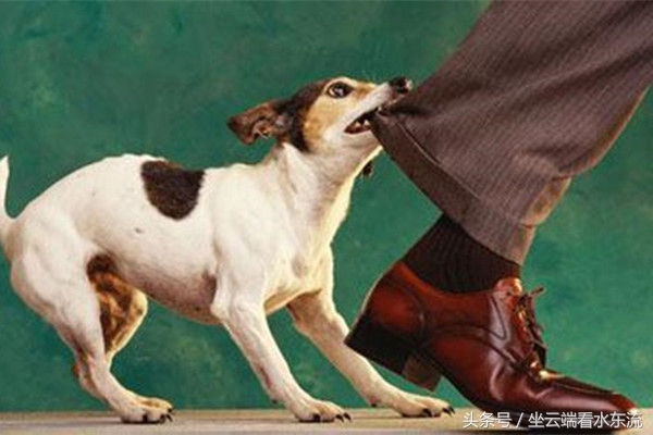 朋友圈总会有那么几类人,朋友圈经常出现的几种人