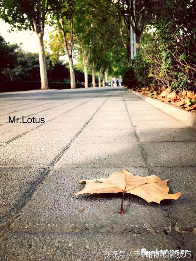 加了水印的图片是怎样的,加水印的照片怎么去除水印