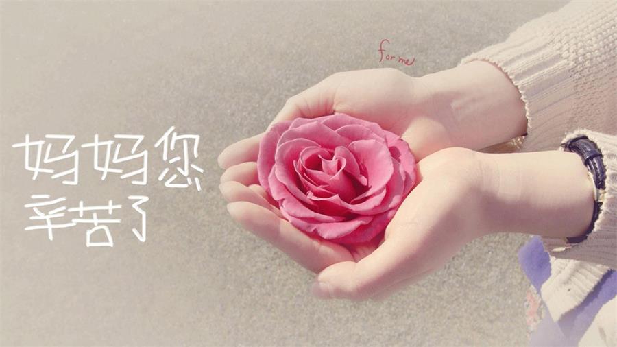 季羡林关于母爱的文章,季羡林散文关于母亲的