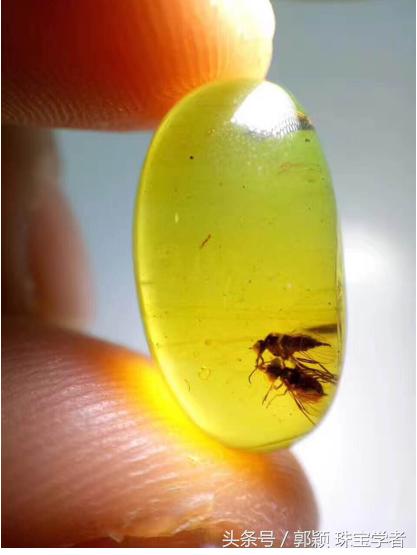 时光终究抵挡不了岁月的脚步,亿万年的光阴