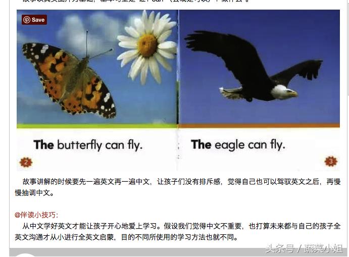 第一课｜每天15分钟，在家上国际幼儿园的自然拼读课程