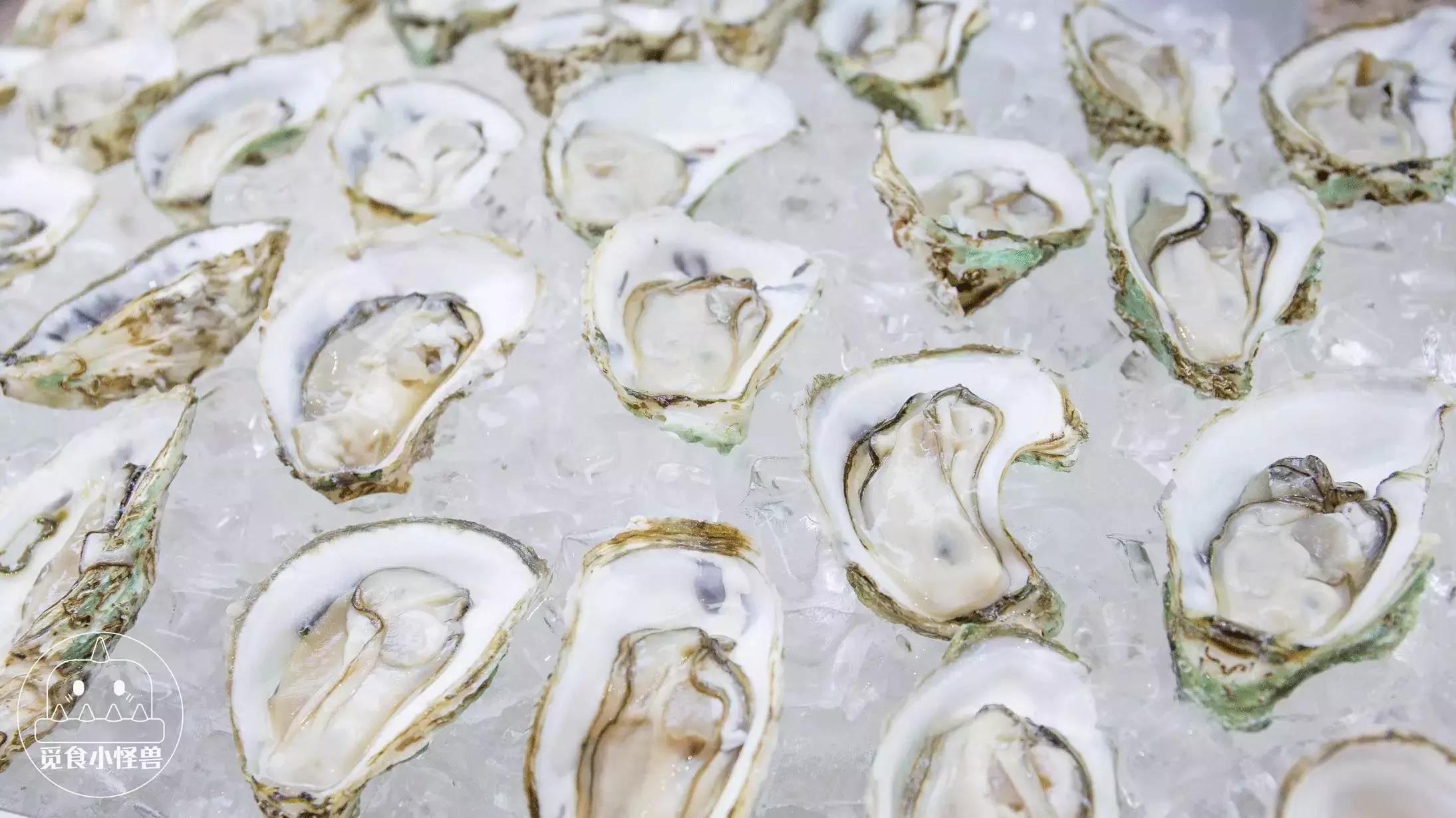 珠海觅食小怪兽佳佳,珠海觅食小怪兽推广要多少钱