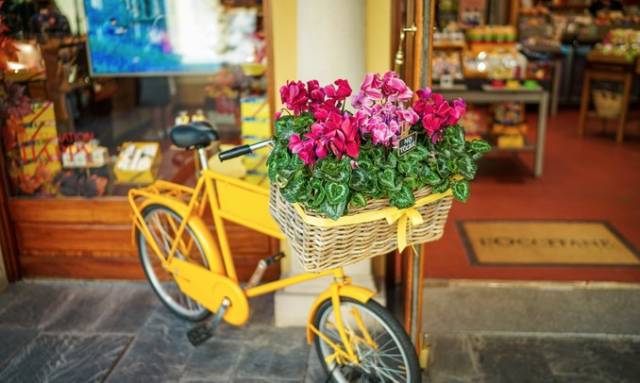 伊比利亚半岛的恋之歌(中)