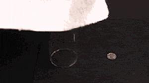 功夫猫搞笑动态图片,搞笑蓝猫gif动图