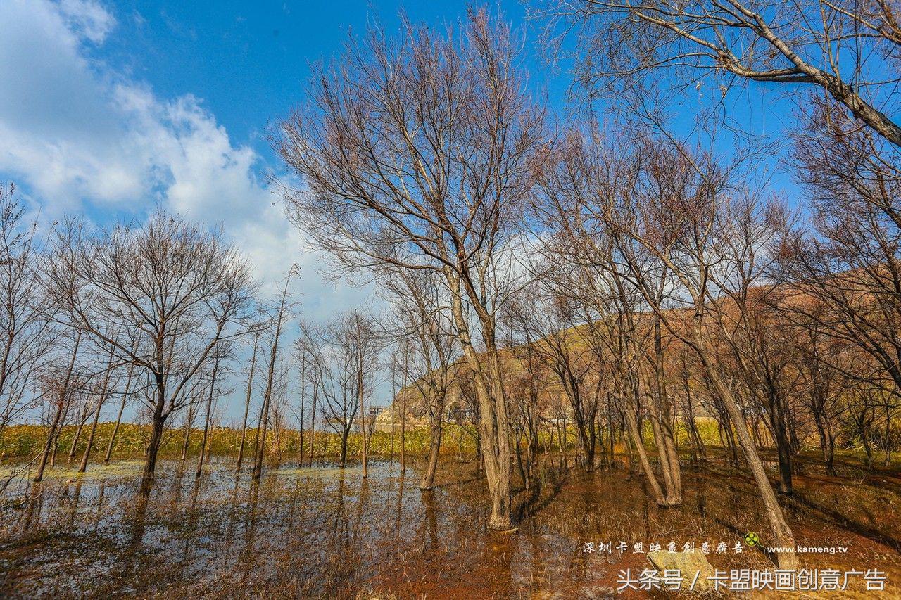 2万5千公里｜跨越半个中国，我们在路上等你