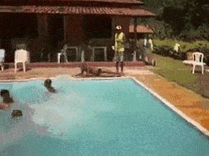 我只注意到后面的亮点了，哈哈