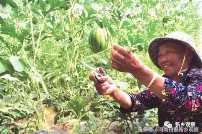 总理牵挂的这件事儿，看看封丘干得咋样