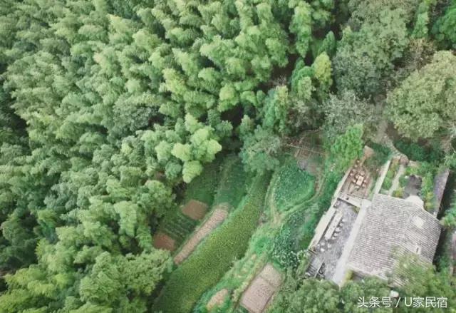 给我一方厨房，还你一桌菜肴