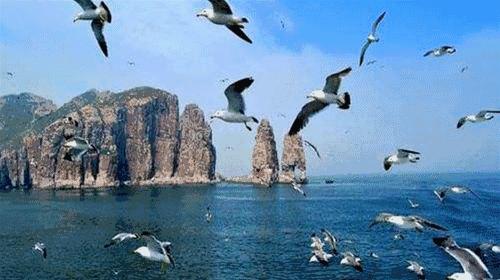 假期约起！珠海开通全新飞行航线，美食美景撩拨你那骚动的心！