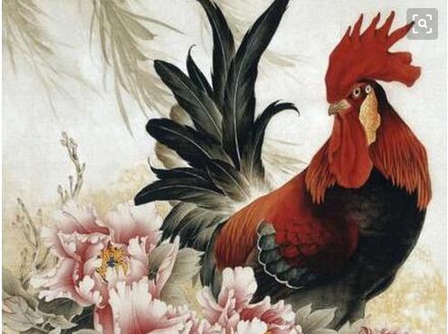 为啥说2023年鸡犯太岁,2024年鸡犯太岁的最佳解决方法