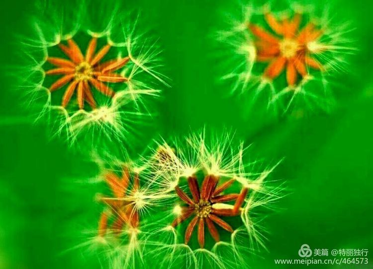 走过四季夏天最美,走过春夏美丽的秋冬