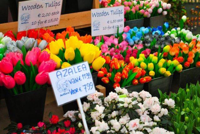 全球最适合华人居住的城市,年轻人最想去的top5城市