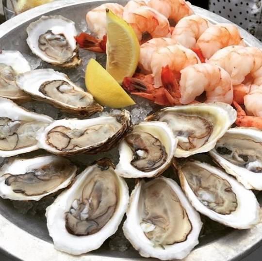 渥太华之旅,纽约时报精读