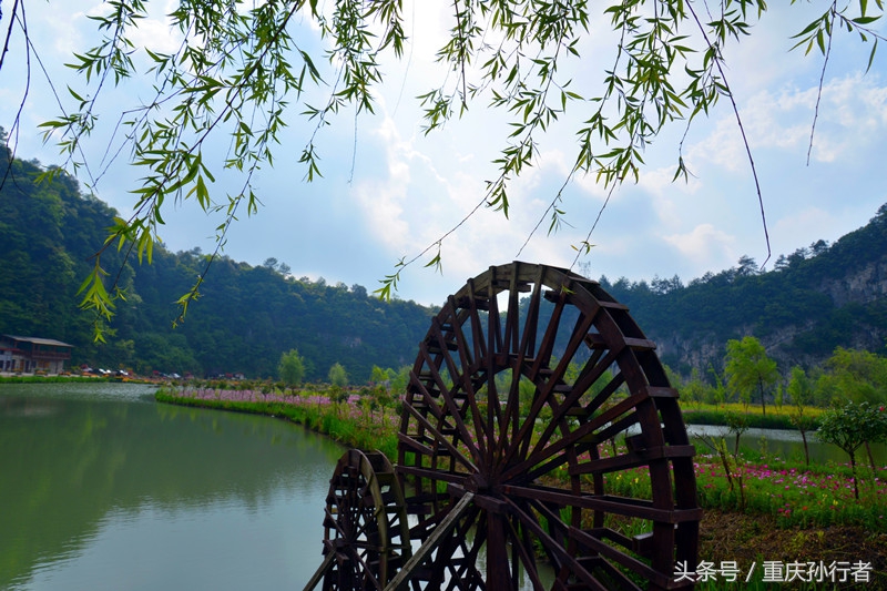 綦江花坝:以花为媒村民吃上旅游饭