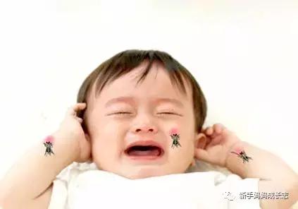 疱疹性荨麻疹怎么治丘疹性荨麻疹,荨麻疹儿科