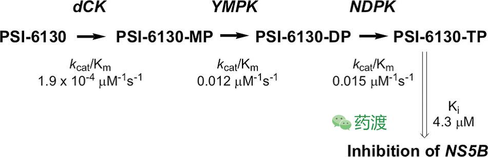 丙肝新药索非布韦为什么这么贵,丙肝新药索非一疗程需要多少钱