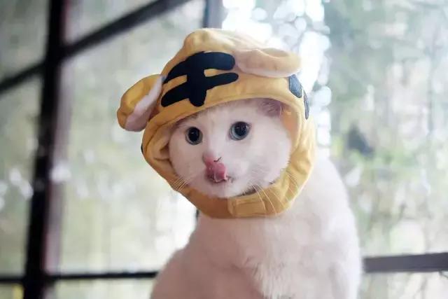 它叫小面,从此没有面敢叫大面