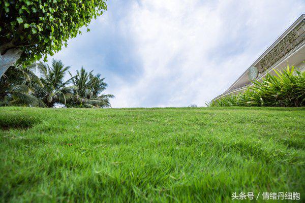 去了三亚去不了海边,去完三亚不看海