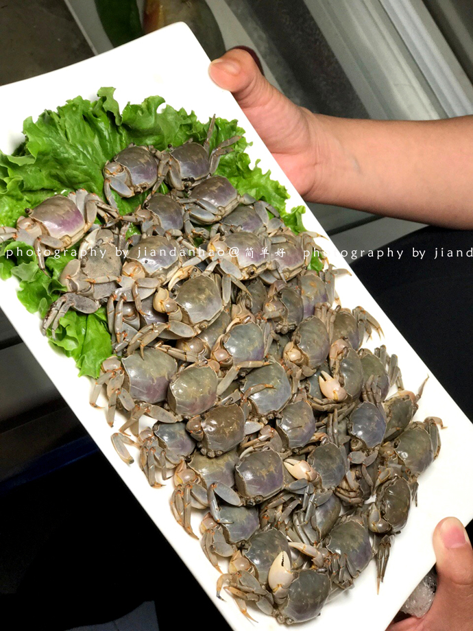 东港海鲜之旅大黄蚬子,东港小海鲜推荐