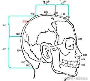 头部穴位中医必背100个知识,穴位脱发