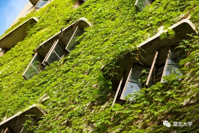 第23届五人制足球联赛u12组决赛,中国五人制足球超级联赛湖大