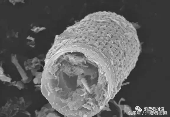 硅藻泥地垫是智商税吗,现在装修用硅藻泥是什么东西