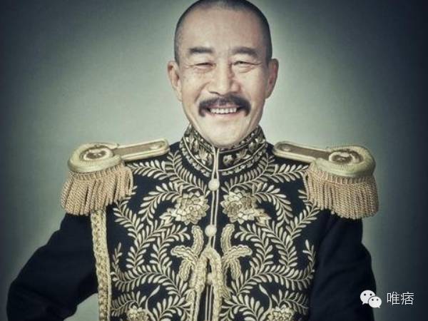 一个人坑好几个人的电视剧,少帅这部电视剧受文章影响了吗