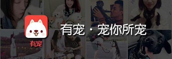 中国传统名贵食材鱼翅,鱼翅到底是啥东西